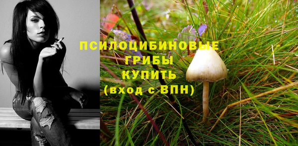 метадон Касимов
