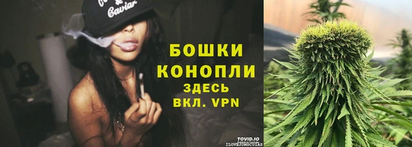 метадон Касимов