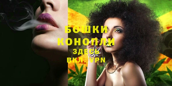 метадон Касимов