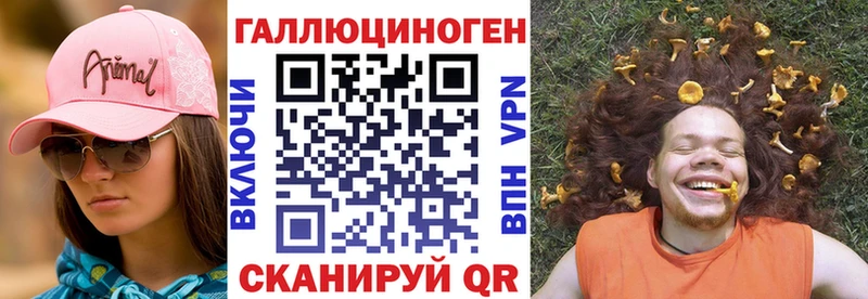 Купить где  Губкин  Псилоцибиновые грибы MAGIC MUSHROOMS 